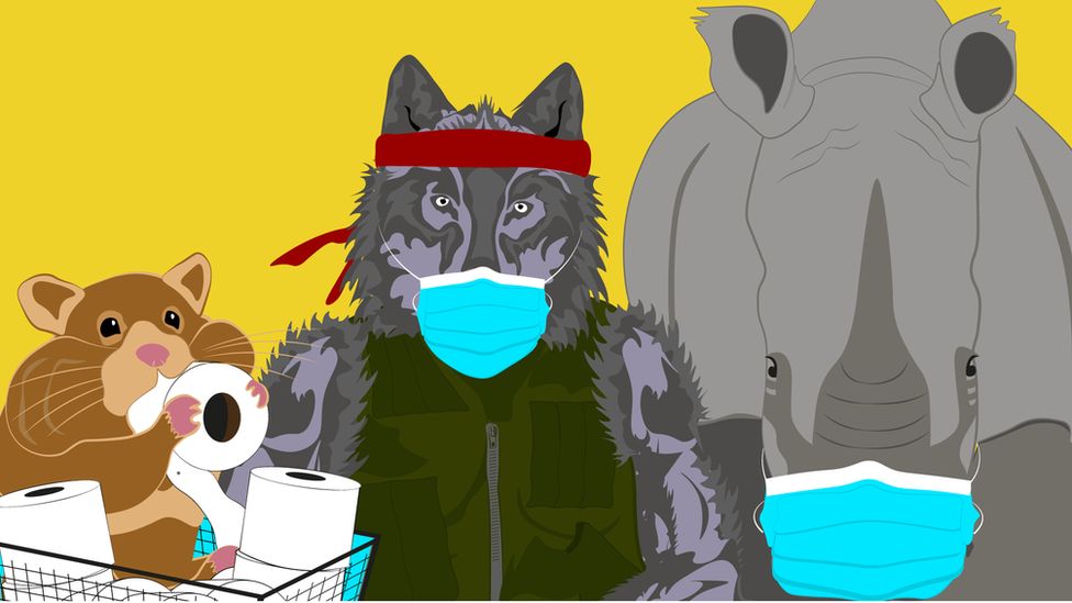 Illustration of hamster eating toilet roll paper, a wolf with a mask and a rhino with a mask